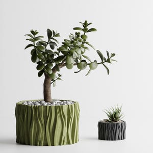 Peut inclure: Deux jardinières décoratives avec des plantes. La plus grande est vert olive avec un motif ondulé texturé et contient un petit arbre aux feuilles vertes. La plus petite est gris foncé avec un motif similaire et une petite succulente.