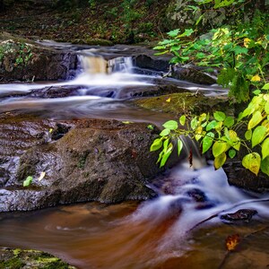 Barnes Creek Waterfall - Wall Art photography; Paper, Canvas, Metal, Acrylic prints