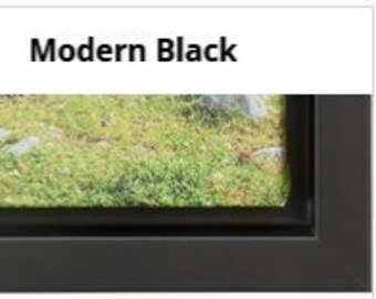 Frame Options for CANVAS PRINTS; Modern Black, Brown and White Float Frames
