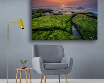 Mossy Shores: A Tranquil Awakening, Kure Beach, NC  - Paper, Canvas, Metal, Acrylic Wall Art