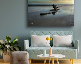 Embracing Stillness - Driftwood Beach, Edisto, SC - Landscape Wall Decor