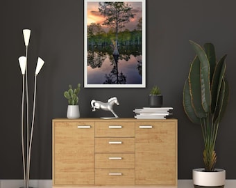 Cypress Tree Sunset Photography – Carver Creek State Park Art