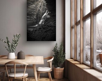 Lower Cascades Waterfall Photo Print, Hanging Rock, NC