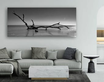 Driftwood Serenity - Driftwood Beach, Edisto, SC - Landscape Wall Decor