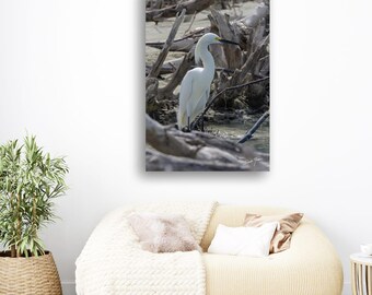 Driftwood Dreams: A White Egret's Refuge  - Paper, Canvas, Metal, Acrylic Wall Art