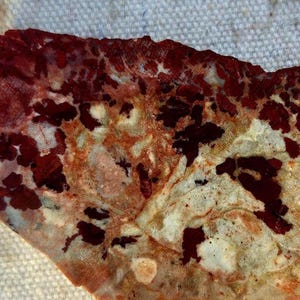 Apache Picture Jasper- 2 slabs (one is a heel cut)