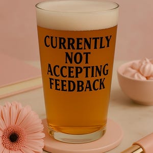 Funny Pint Glass 16oz – Sarcastic Gift for Women, Currently Not Accepting Feedback Cup, Hostess Humor Beer Glass