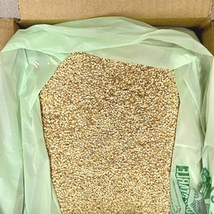 May include: A cardboard box containing a large quantity of sesame seeds. The seeds are light brown and fill a green plastic bag. The bag is open, revealing the seeds. The box is partially visible.