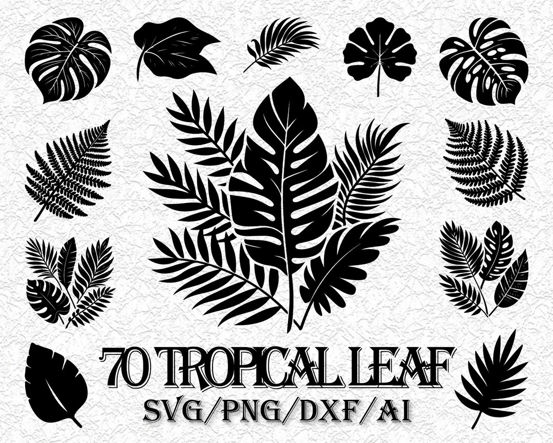 70 Tropical Leaves Svg Bundle, Monstera Leaf Svg Clipart, Jungle Leaves ...