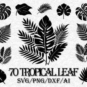 70 Tropical leaves svg bundle, monstera leaf svg clipart, jungle leaves clipart, palm branch svg, tropical party decor, Leaf Templates svg