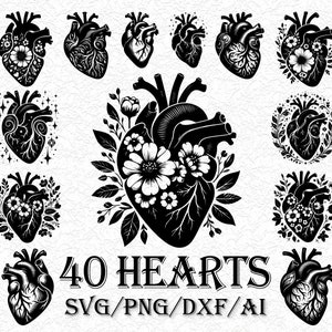 Paquete de 40 archivos SVG de corazón anatómico, diseños de corazón humano real, SVG de corazón, monograma de corazón SVG, paquete de archivos SVG de corazón anatómico para cortar en Cricut