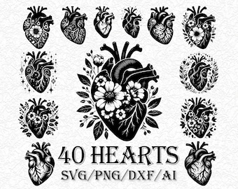 40 Floral Anatomical Heart SVG Bundle, Human Heart Clipart (Cut Files)