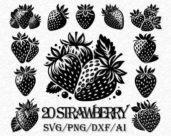 20 Strawberry Vector Clipart, Fruit svg, png, ai, dxf Cut Files