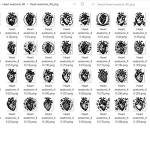 40 Floral Anatomical Heart SVG Bundle, Human Heart Clipart (Cut Files) image 3
