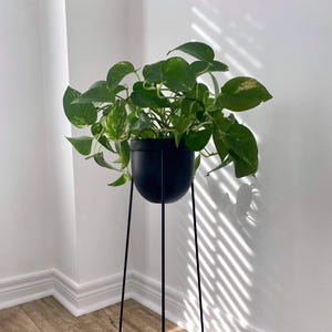 New black metal bullet planter/home decor/black metal/plant decoration/gift idea/house warming gift/indoor plant decoration/