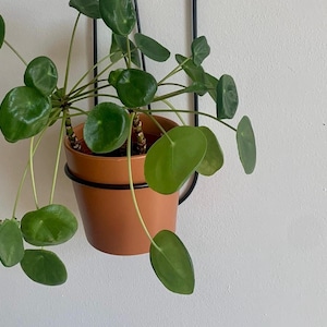 New Black Metal wall hanging stand with terracotta   pot planter