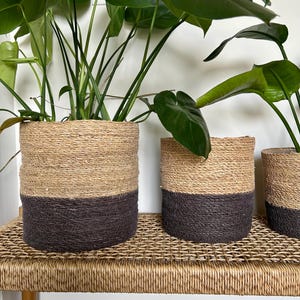 Può includere: Tre cesti cilindrici per piante realizzati in corda di juta naturale avvolta. Ogni cesto presenta un design bicolore con una sezione superiore color marrone chiaro e una sezione inferiore color grigio antracite scuro. Contengono piante verdi.