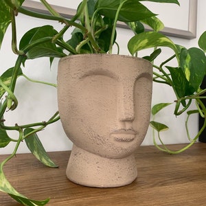 May include: A beige, face-shaped planter pot with a textured finish. The pot is filled with green leafy plants with yellow variegation. The planter sits on a wooden surface.