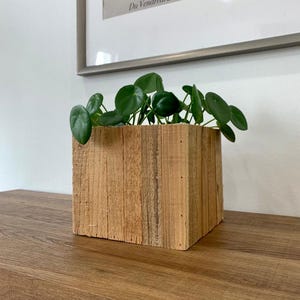 May include: A square wooden planter filled with green leafy plants. The planter is made of light brown, reclaimed wood. The background includes a framed print with text in French.