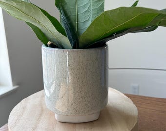 Glossy  / Beige Ceramic Planter Set/Indoor/Outdoor Pottery