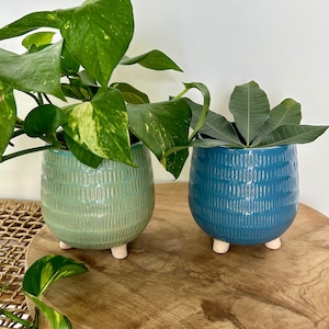 May include: Two ceramic planters with a textured design and three legs. The planter on the left is light green and the planter on the right is blue.