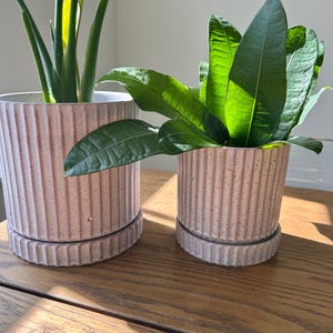 Ceramic Planter Set with Saucer: Light Purple Pottery, Ribbed Design
