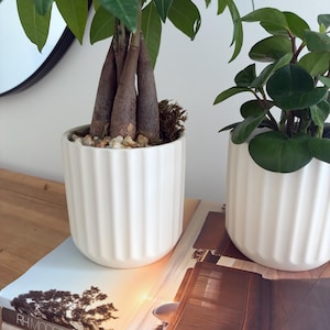 May include: Two white ceramic planters with vertical ribbed textures, each containing a green plant. The planters sit on top of two stacked books titled RH MODERN and RH INTERIORS, featuring a sunset landscape image on the cover.