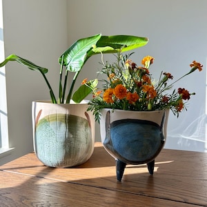May include: Two ceramic planters on a wooden table. The left planter has a light beige base with green and brown accents and holds a large-leafed plant. The right planter, with a blue design, contains orange flowers.