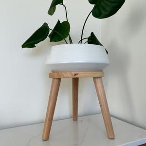 May include: A white ceramic planter with a dark green plant, set on a small wooden plant stand. The stand has three angled legs. The plant has large, heart-shaped leaves. The stand is approximately 12 inches tall.