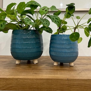 Blue Ceramic Belly Pot Planter set: Indoor Outdoor Plant Decoration