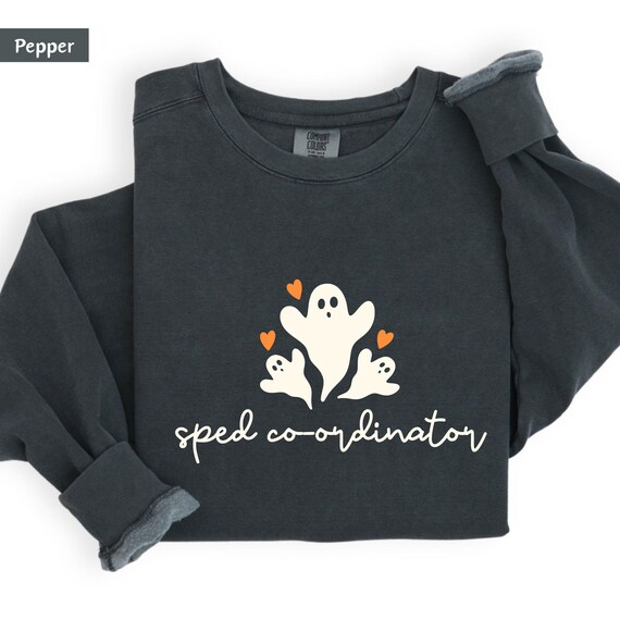 Sped Coordinator, sped parapro, sped paraprofessional shirt, paraprofessional sweatshirt, sped squad, special education, paraeducator