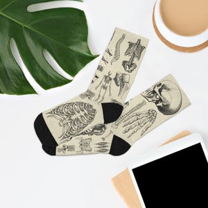 May include: A pair of beige socks with black heels and toes, featuring detailed black and white illustrations of human skeletal anatomy. The designs include bones, spines, and a skull. The socks are displayed on a white surface.