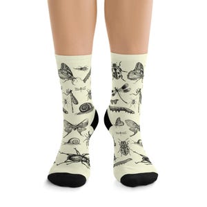 May include: A pair of cream-colored crew socks featuring a repeating black ink illustration pattern of various insects, including butterflies, dragonflies, beetles, snails, and caterpillars, with solid black toe and heel sections.