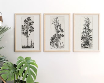 3 Prints Set Vintage Tree Sketch, Tree drawing, Antique sketch, Forest Print, Nature Sketch, Botanical Print, Sketch Art, Farmhouse Art Set