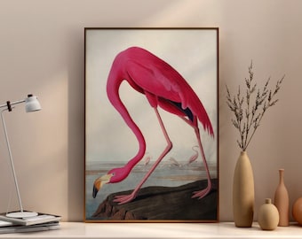 Flamingo Wall Art, Flamingo Art Print, Flamingo Vintage art, Flamingo Poster, Vintage Wall Art, Antique Wildlife Painting, Audubon Fine Art