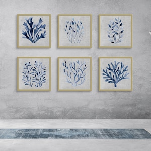 6 Seaweeds Wall Art Set, Seaweed Art Print, Seaweed Digital Art, Seaweed Art, Seaweeds Print Set, Seaweed Prints, Seaweeds Printable