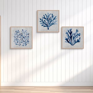 3 Seaweed Art Print Set, Seaweeds Wall Art, Seaweed Art, Seaweeds Print Set, Seaweed Prints, Coral Wall Print, Nursery Coral Print Set