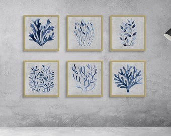 Peut inclure: Six impressions encadrées d'aquarelle de corail bleu et d'algues sur un mur gris. Les impressions sont disposées en deux rangées de trois.