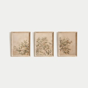 May include: Three framed prints with a beige background and a light brown frame. Each print features a stylised illustration of a branch with green leaves and small orange fruits.