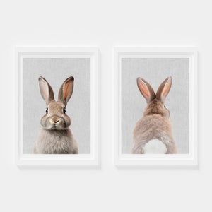 Bunny Print Set of 2, Bunny Wall Art Set, Bunny nursery poster, Bunny Poster Print, bunny print for baby, Bunny Poster Print Bunny Art Print