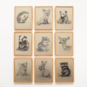 9 Woodland Baby Animal Gallery Wall Set, Nursery Decor Woodland, Woodland Print Set, Forest Animal Nursery Wall Art, Gender Neutral Nursery