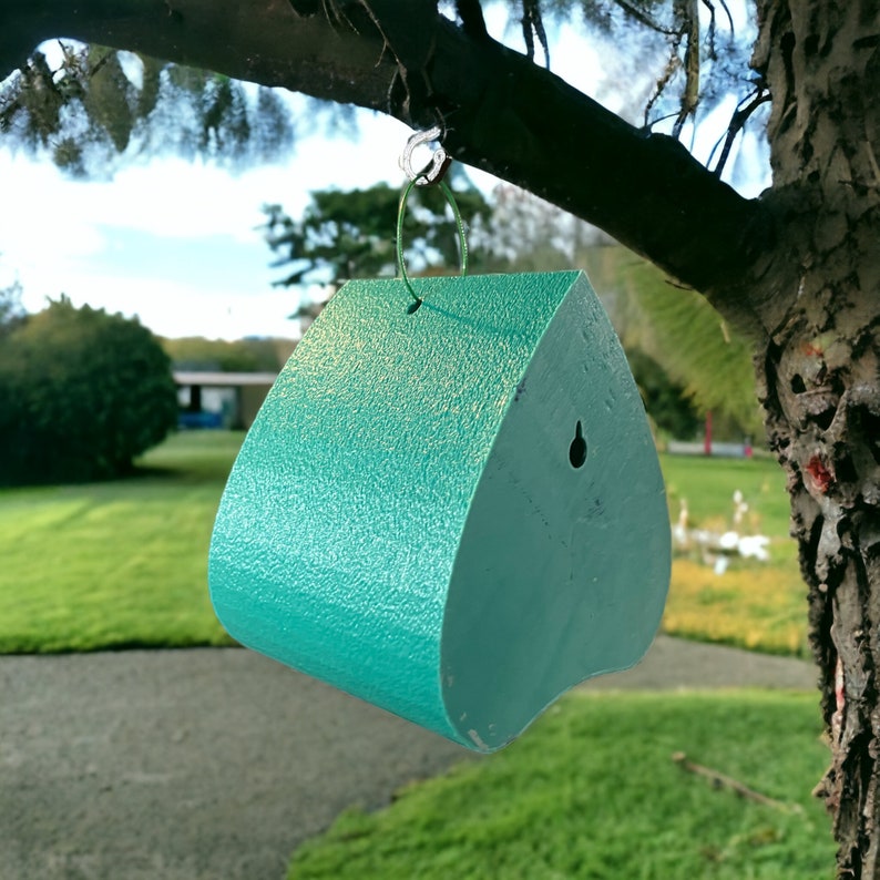 May include: A teal blue birdhouse shaped like a heart, hanging from a tree branch with a string.