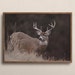 Rustic Deer Poster, Whitetail Deer Wall Art, Gift for Hunter, Midwest ...