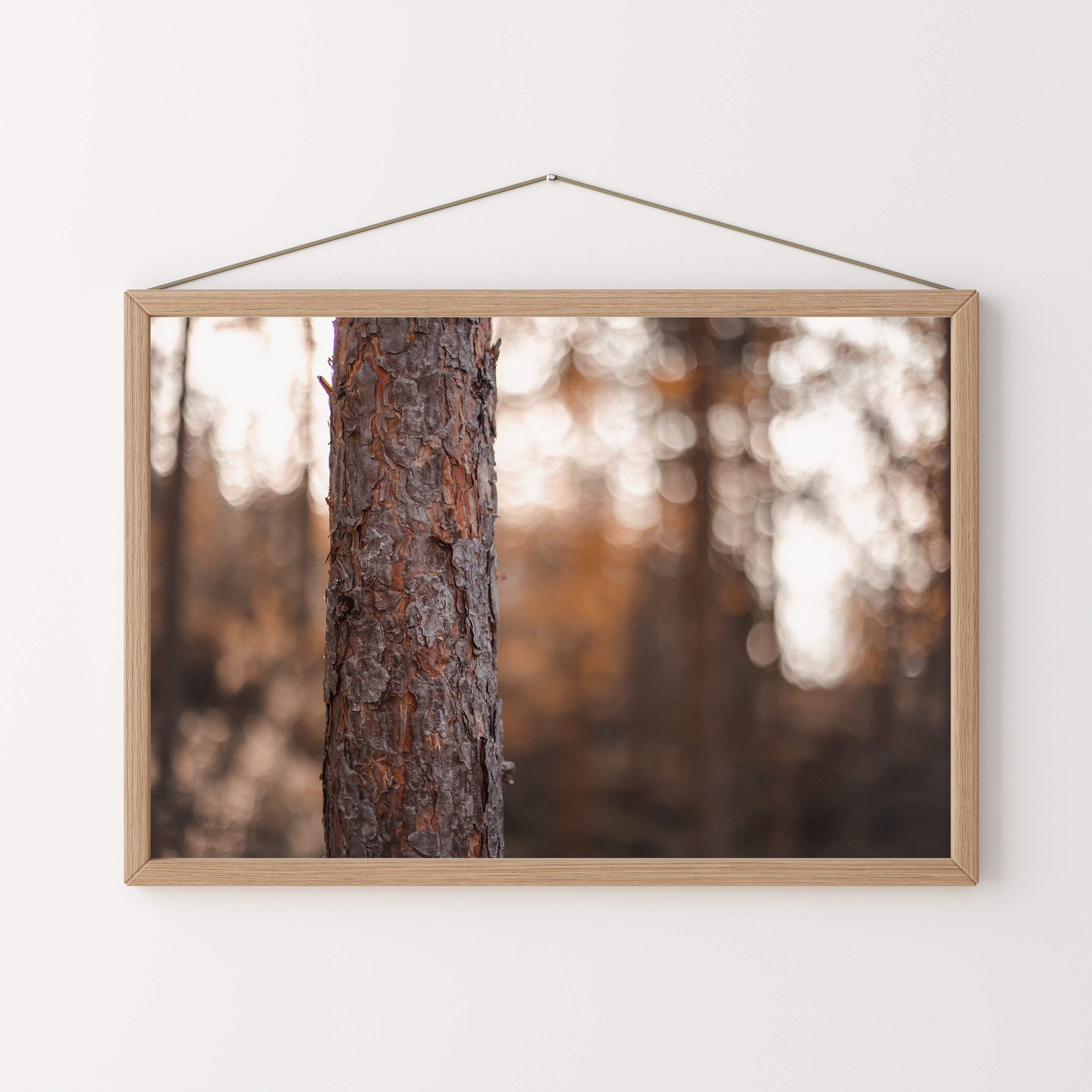 Tree Bark Poster, Ponderosa Pine Tree, Arizona Pine Forest, Pine Tree ...