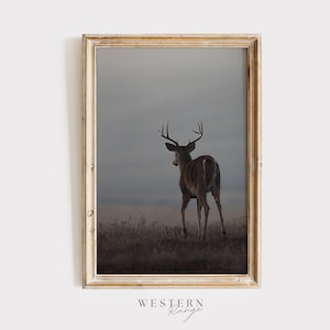 Deer At Dusk, Whitetail Deer In Foggy Field, Midwest Whitetail Poster, Trophy Buck, Deer Photography, Deer During Evening Whitetail Deer Art