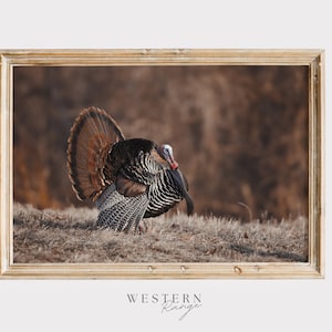 Osttürkis, rustikale Fotografie, Wilder Truthahn Wandkunst, Osttürkei Poster, Truthahn im Wald, Truthahn druckbar, Truthahn Print