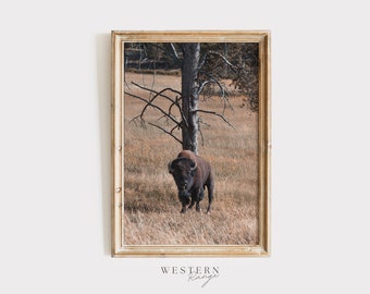 Western Buffalo Print, Rustic Decor, American Buffalo Wall Art, Bison Digital Print, Yellowstone Bison Scenery, Nature Photography