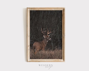 Whitetail Deer In Field, Wildlife Wall Art, Rustic Nature Print, Midwest Deer Poster, Trophy Buck Digital Art, Whitetail Deer Home Decor