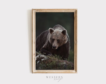 Oso grizzly del bosque, arte de la pared de la vida silvestre, oso grizzly en el bosque, decoración rústica del hogar, arte de la pared del oso grizzly, fotografía de la naturaleza