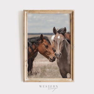 Western Horse Wall Art, Two Horses on Range, Open Range Horses, Utah Horse Photography, Wild Horse Wall Art, Rustic Western Decor